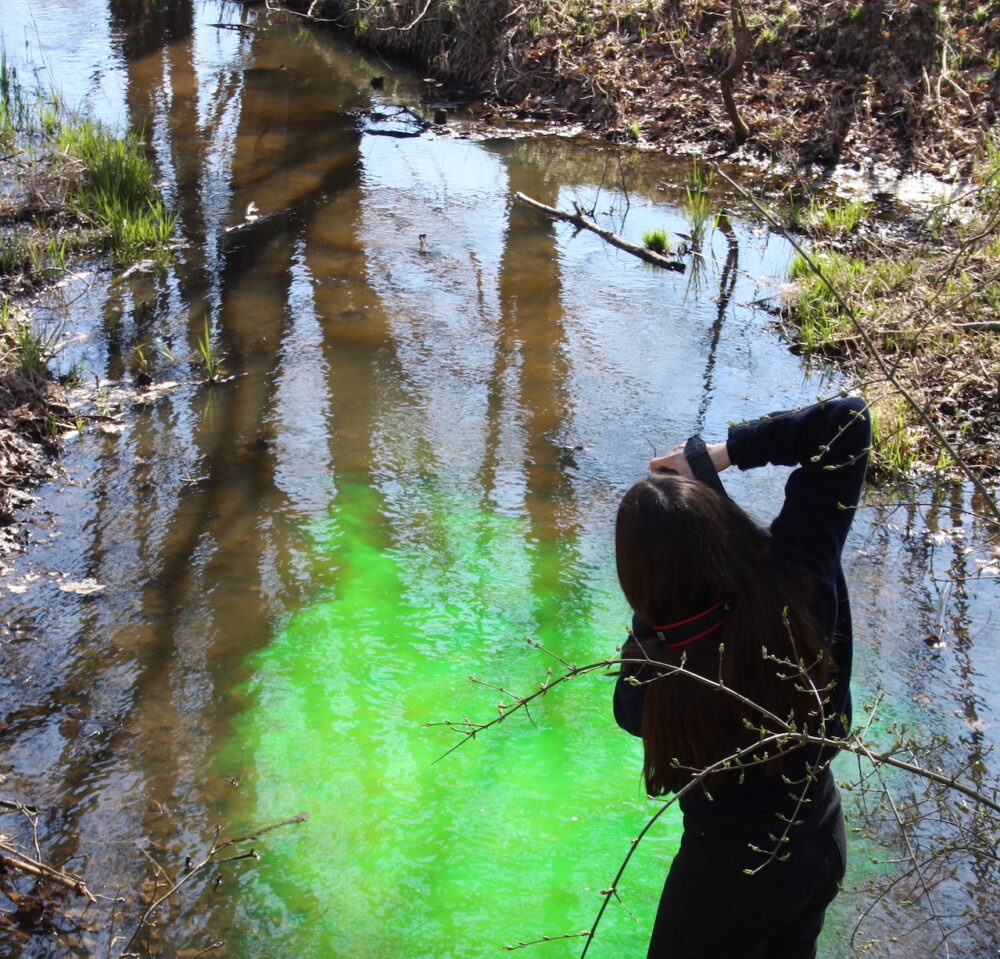 kleiner See mit hellgrüner Lichtspiegelung, Frau von hinten, die das fotografiert