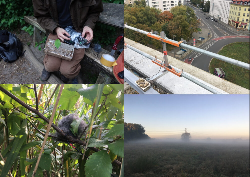 Collage aus vier Bildern Stadt versus Natur, innerstädtische Szene mit Straße und Häusern, Mensch mit technischem Gerät in der Hand, erst ab Brust zu sehen, Pflanze, vernebelte Landschaft