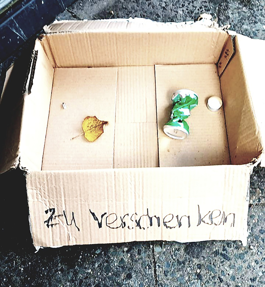 nahezu leerer aufgeklappter Karton mit der Aufschrift "zu verschenken", darin ein herabgefallenes Blatt und eine leere grüne Getränkedose