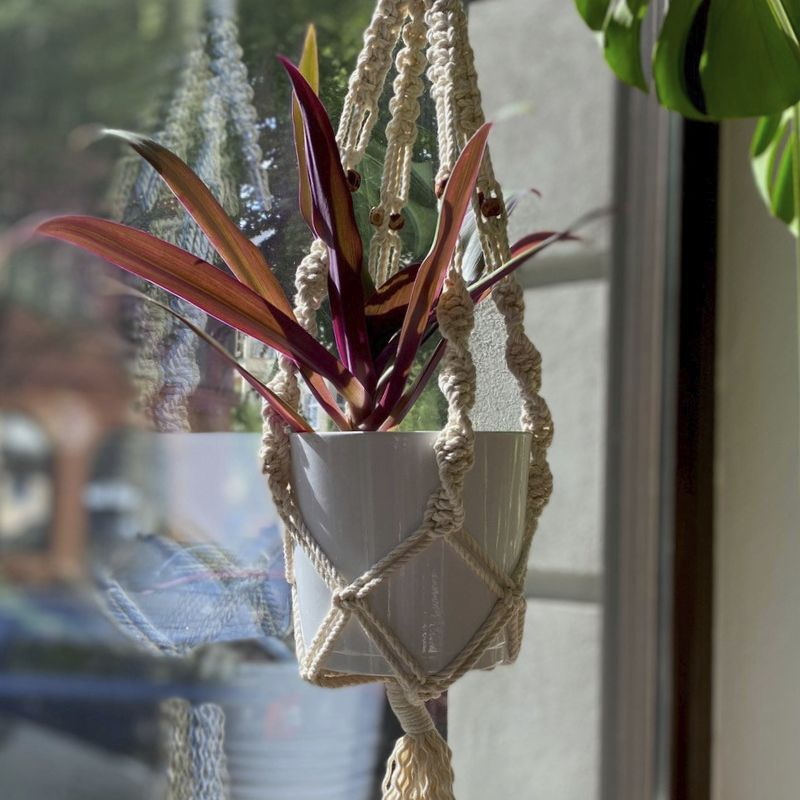 geflochtene Blumenampel mit rotblätteriger Pflanze hängt vor spiegelndem Fenster