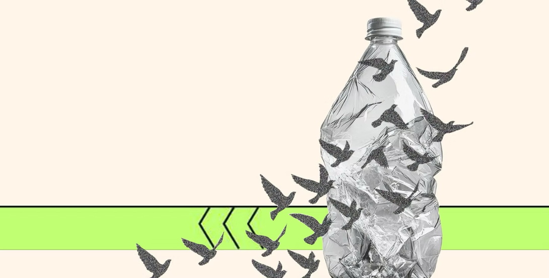 Zeichnung einer Plastik Wasserflasche, davor ein Schwarm Vögel, die gen Himmel streben, beider Hintergrund mit einem grünen Balken